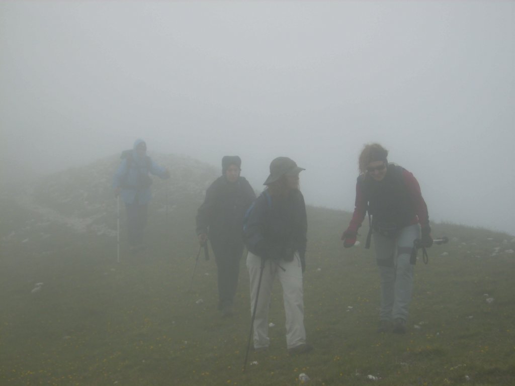 p1010012.jpg
