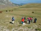 dscf2310_small.jpg