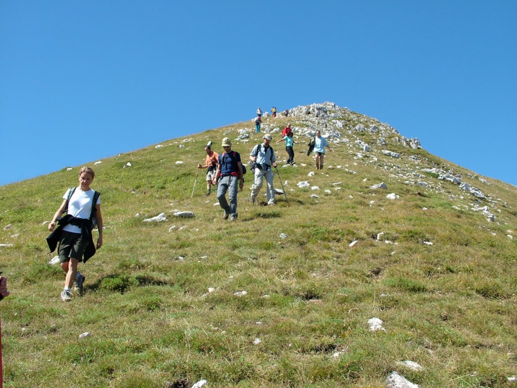 dscf2342.jpg