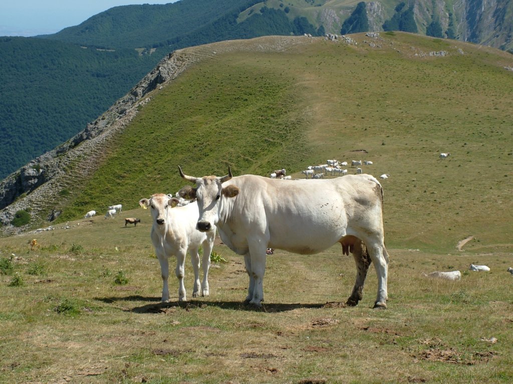 dscf2346.jpg