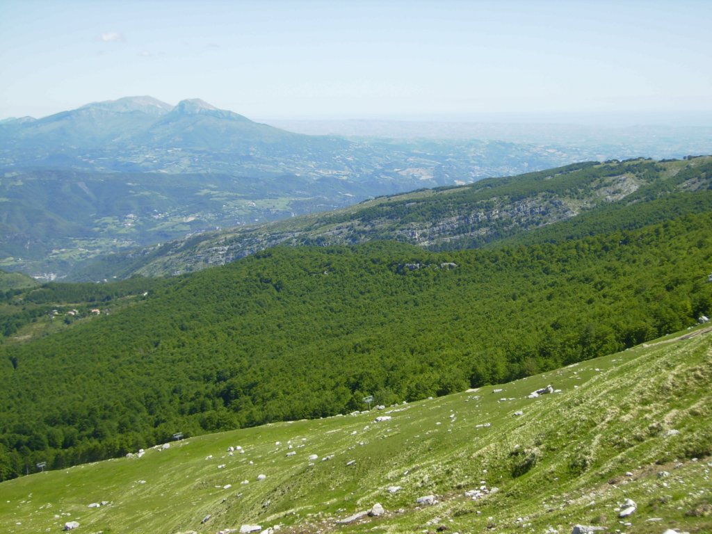 p1010167.jpg