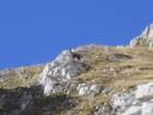 dscn2674_small.jpg
