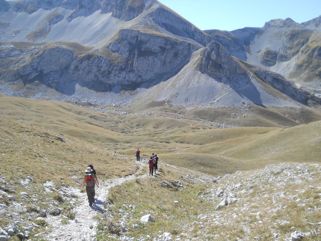 dscn2739.jpg