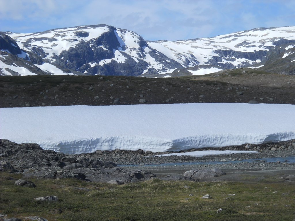 dscn0423.jpg