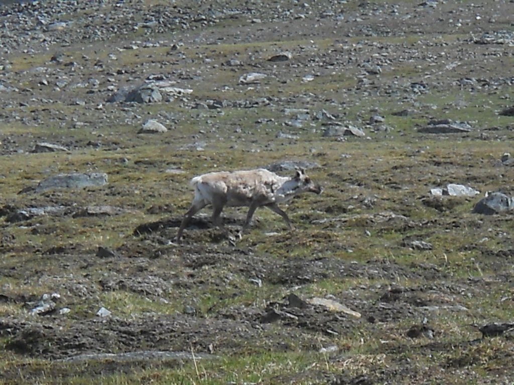 dscn0453.jpg