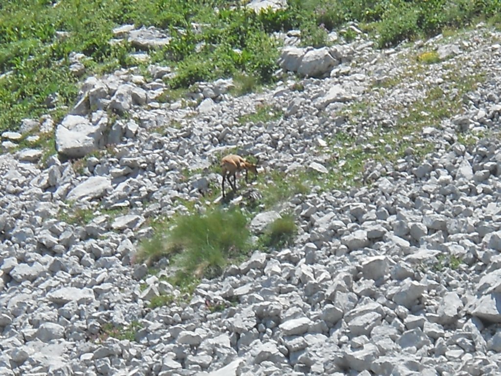 dscn0957.jpg