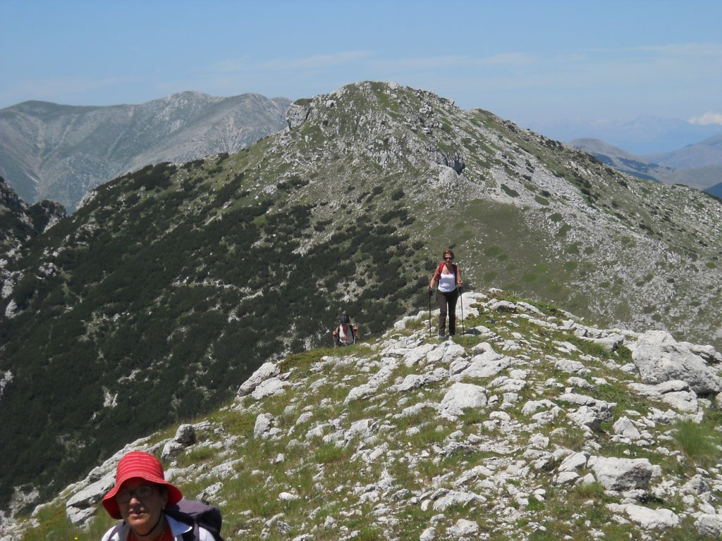 dscn0972.jpg