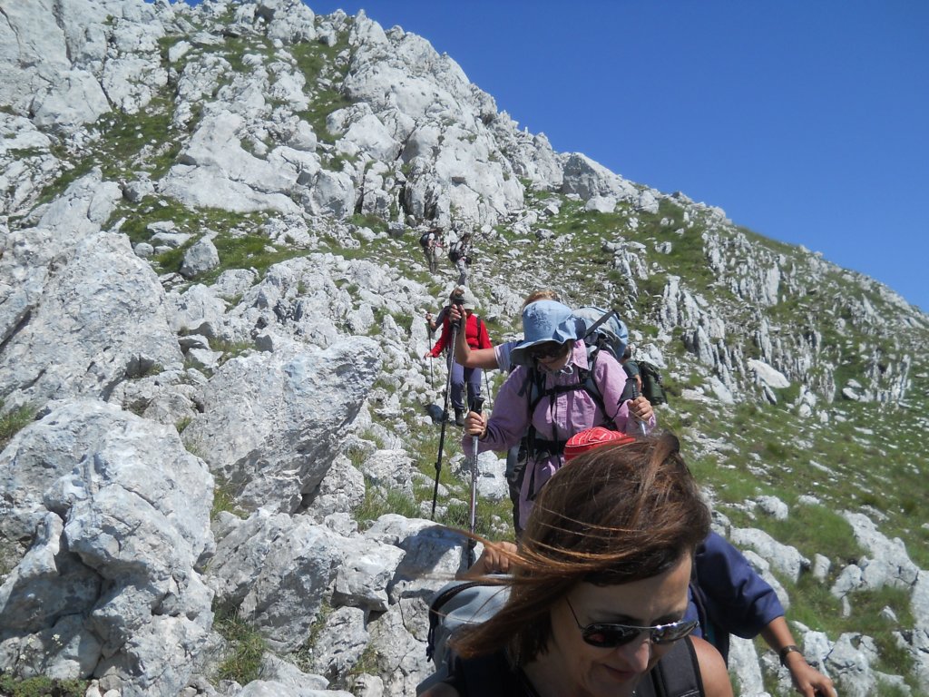 dscn1001.jpg