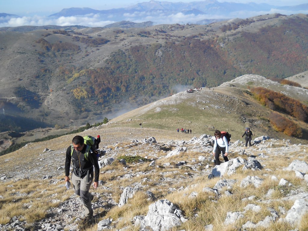 dscn3378.jpg