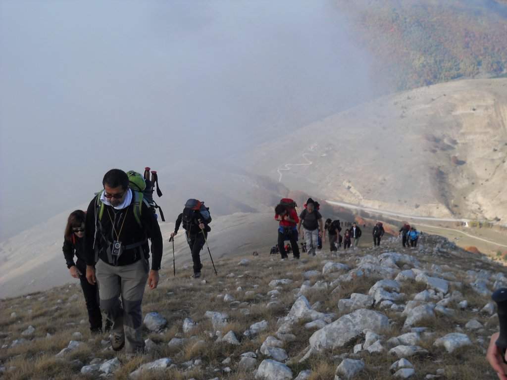 dscn3390.jpg