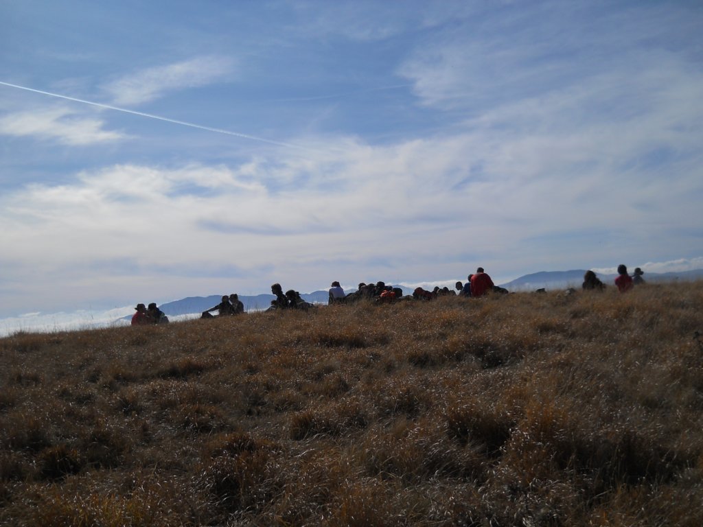 dscn3508.jpg