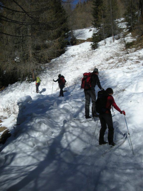 dscn7317.jpg