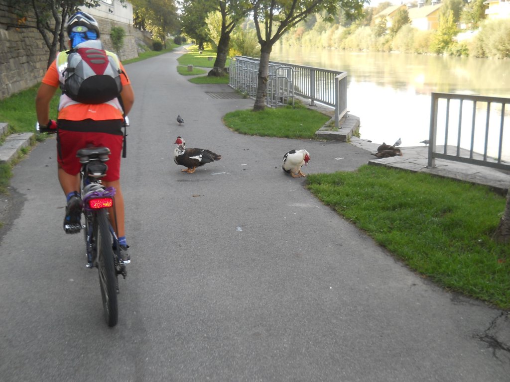 dscn1612.jpg