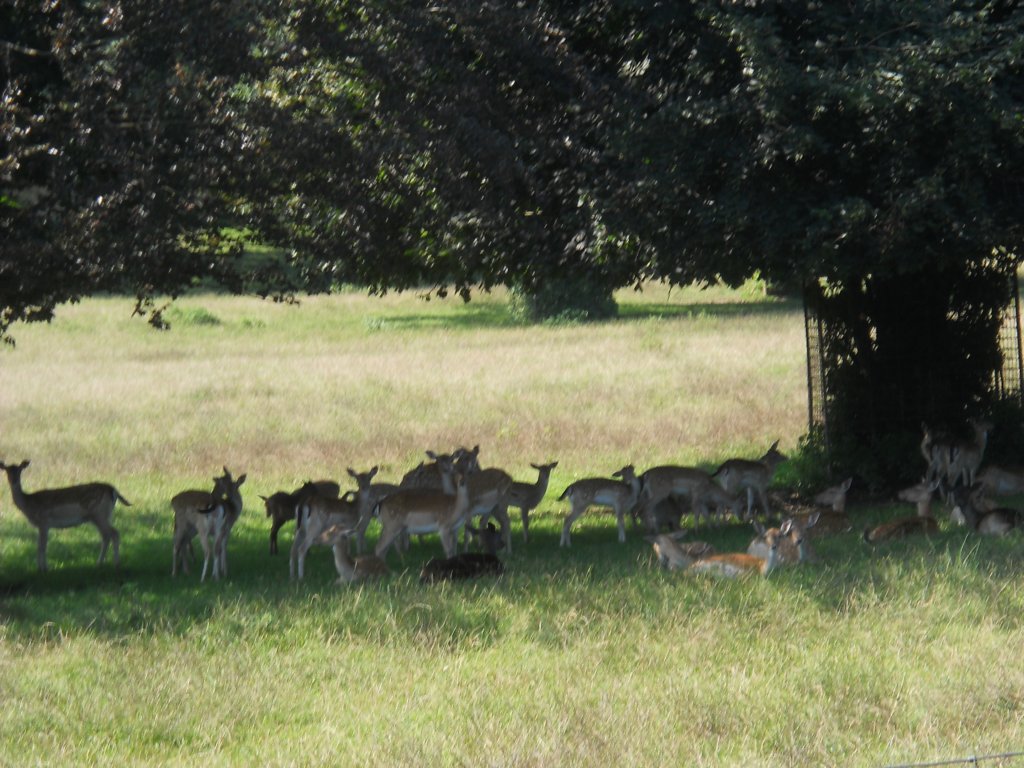 dscn1729.jpg