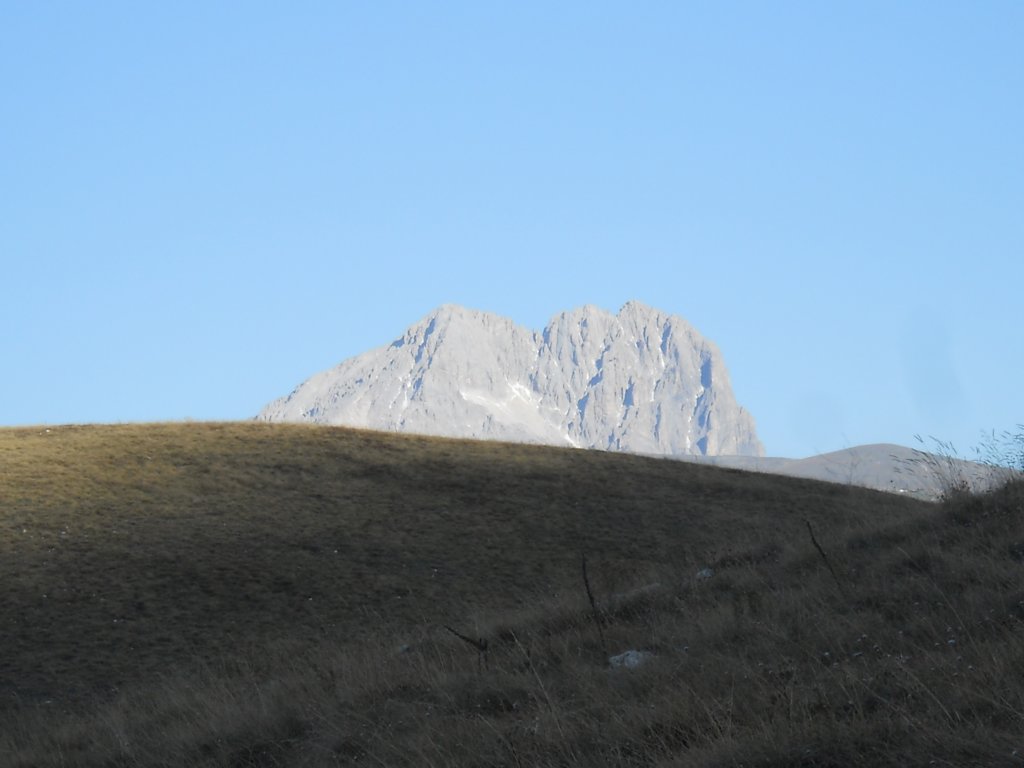 dscn3126.jpg