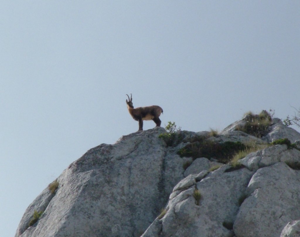 dscf5020.jpg