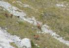 dscf5021_small.jpg