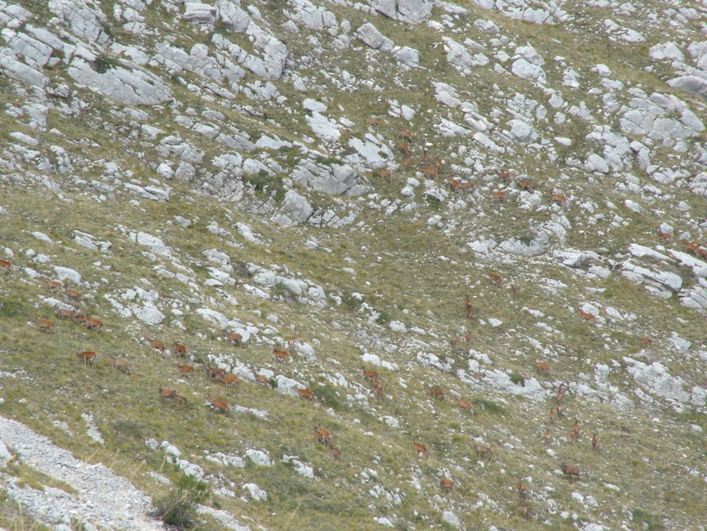dscf5022.jpg