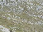 dscf5022_small.jpg