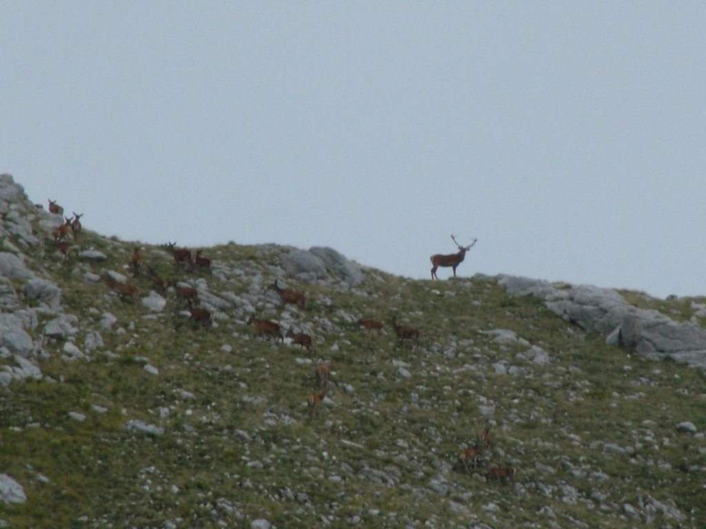 dscf5027.jpg