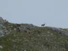 dscf5027_small.jpg