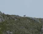 dscf5028_small.jpg