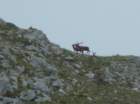 dscf5029_small.jpg