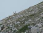 dscf5030_small.jpg