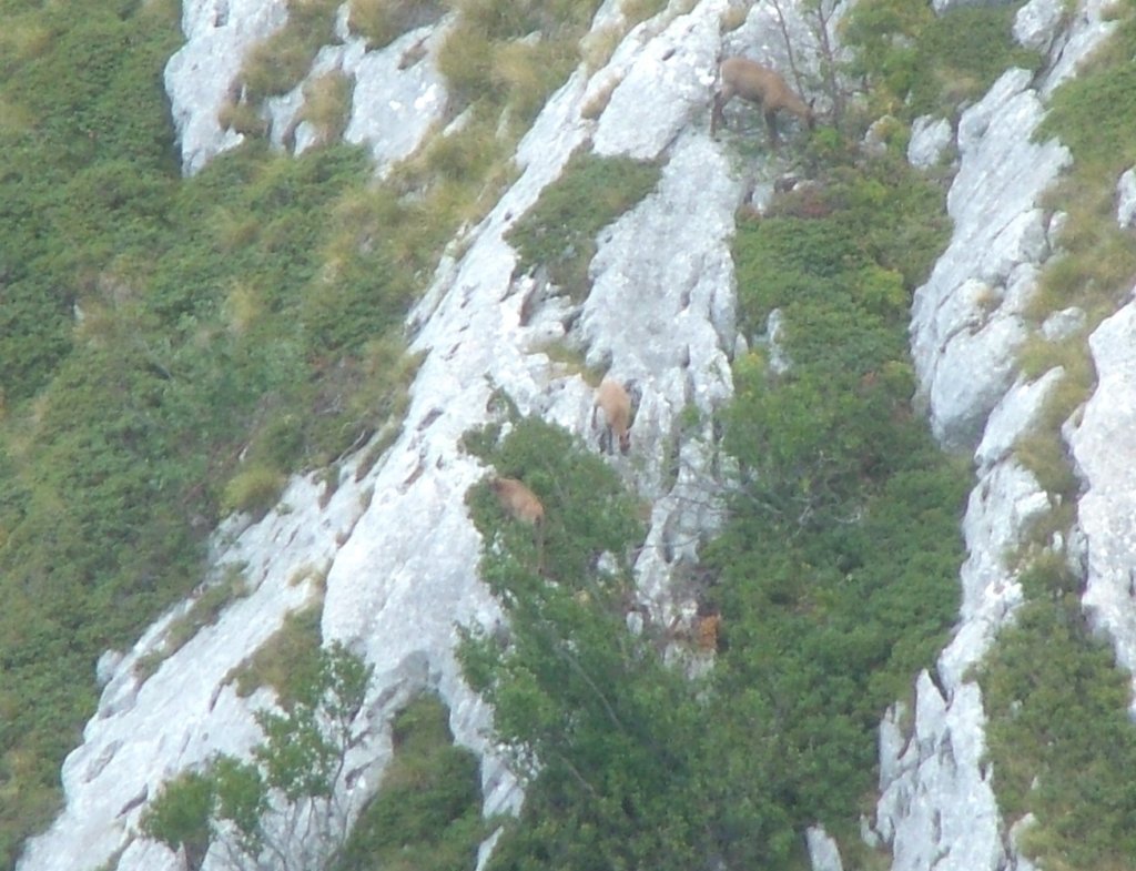 dscf5057.jpg