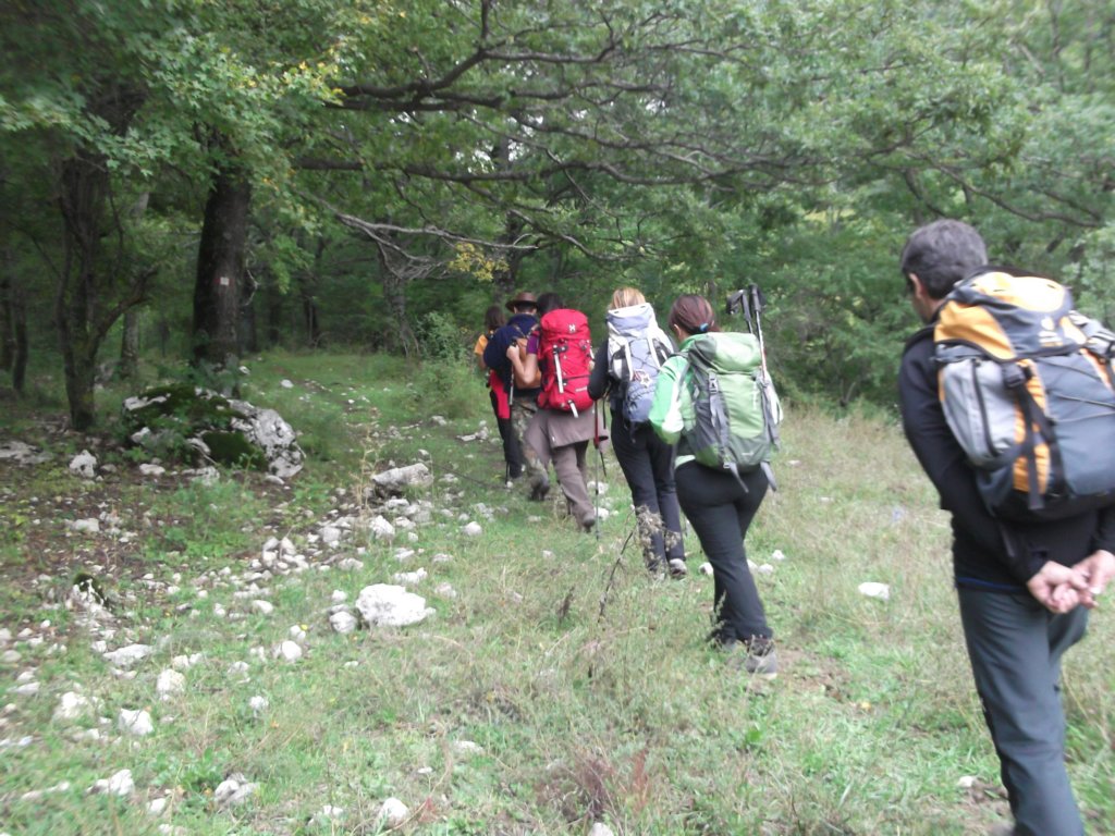 dscf5204.jpg