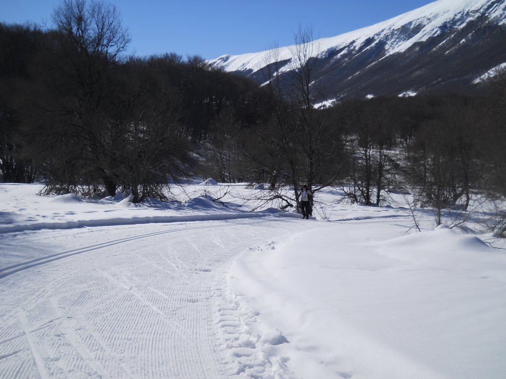 dscn0545.jpg