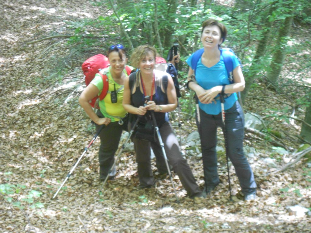 dscn0726.jpg