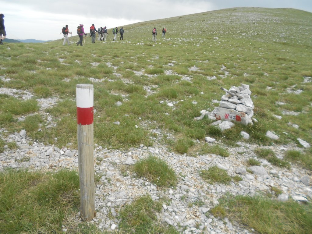 dscn0763.jpg