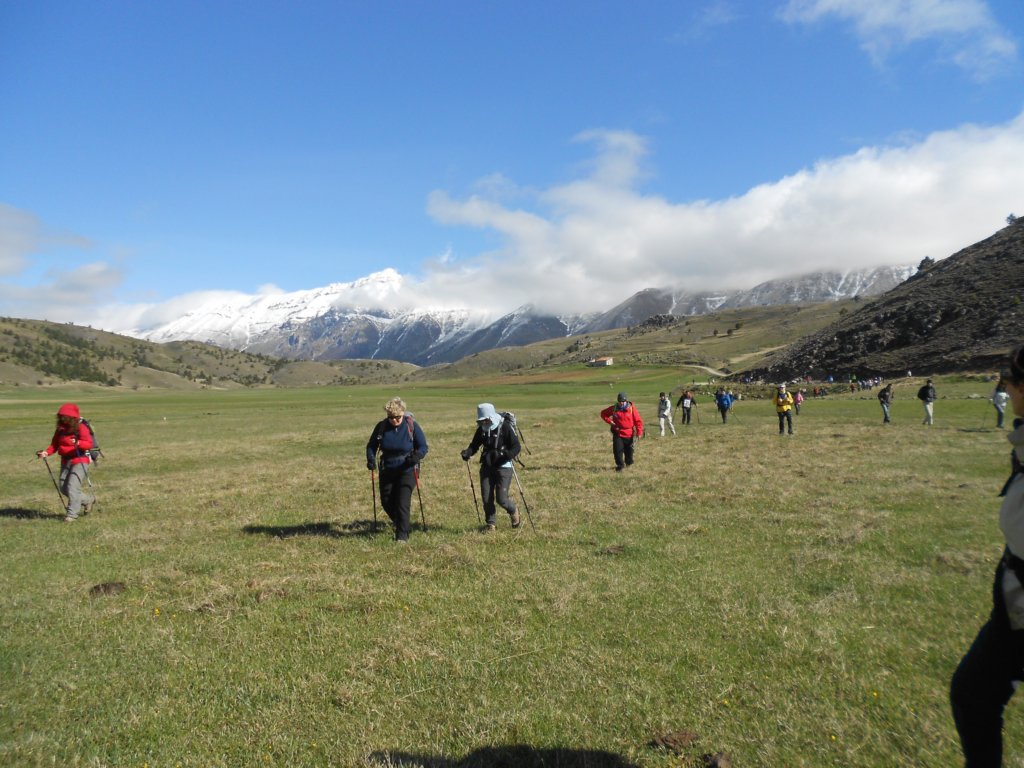 dscn0070.jpg