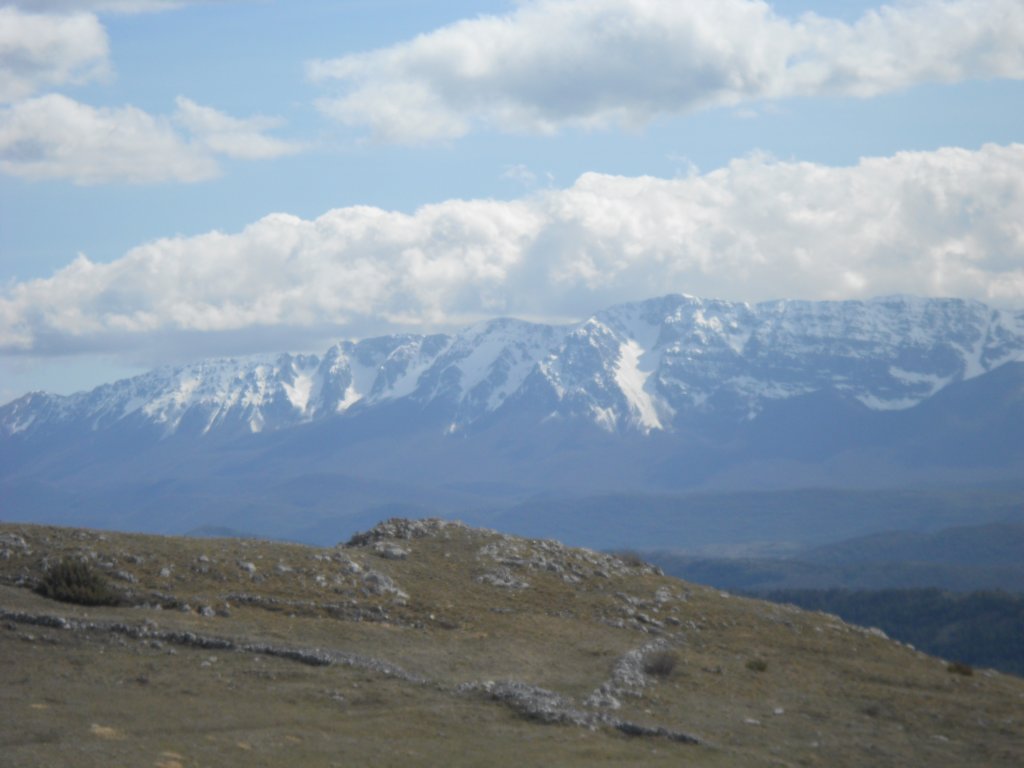 dscn0122.jpg