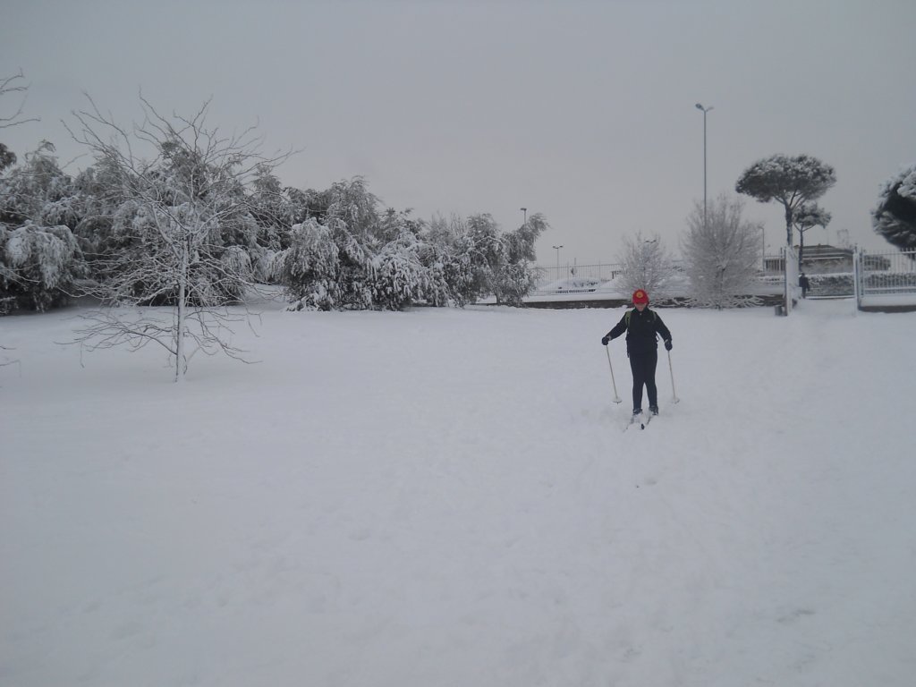 dscn0220.jpg