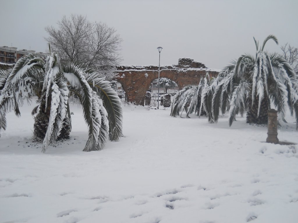 dscn0227.jpg
