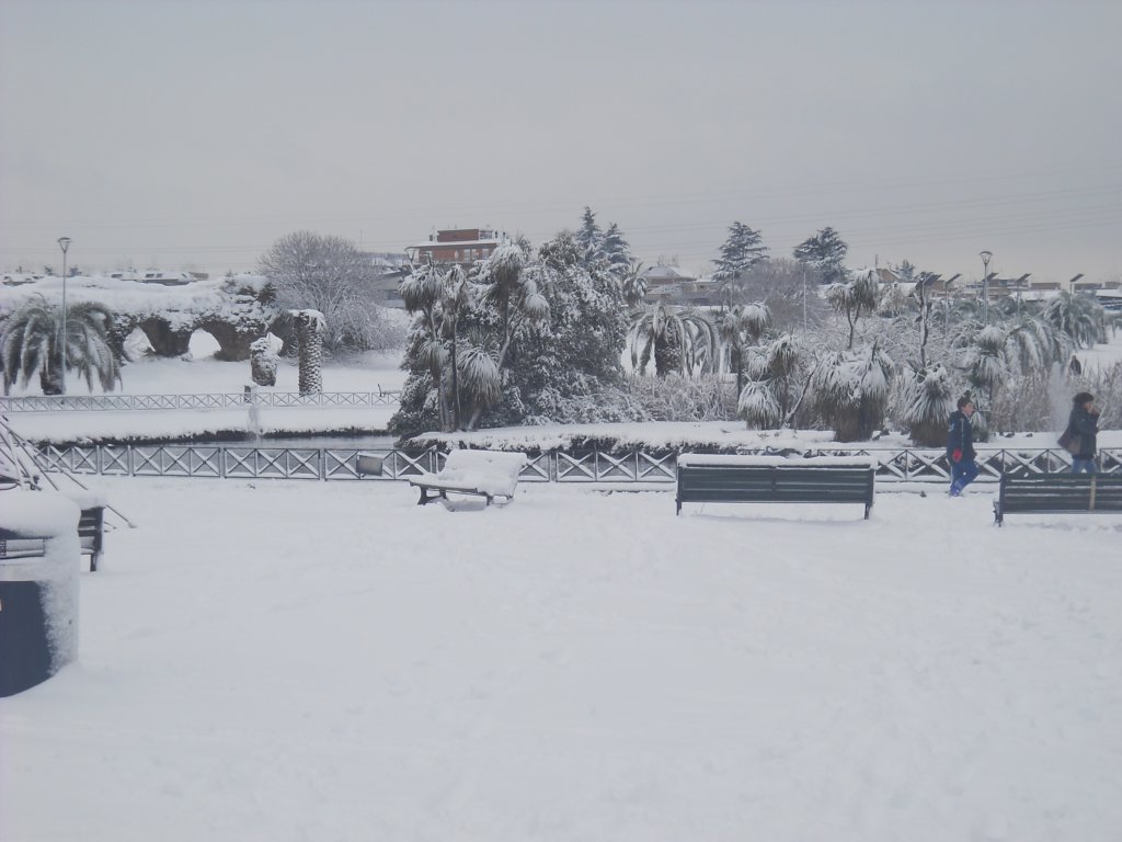dscn0237.jpg
