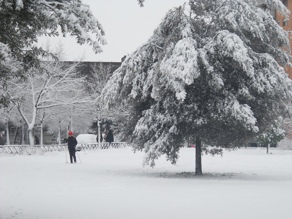 dscn0252.jpg
