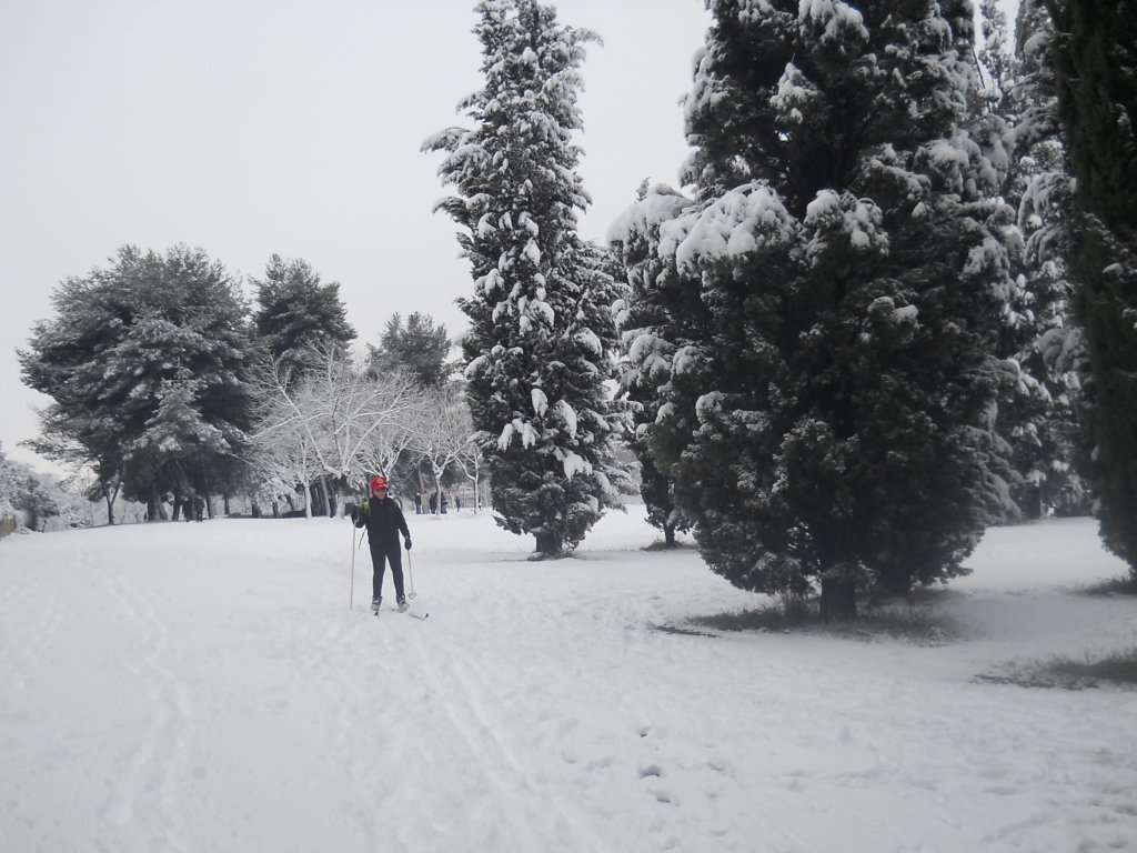 dscn0256.jpg