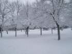 dscn0264_small.jpg