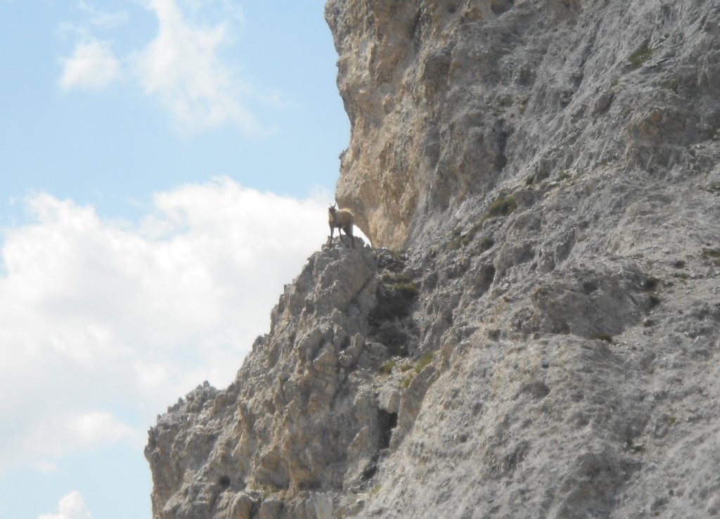 dscn0906.jpg