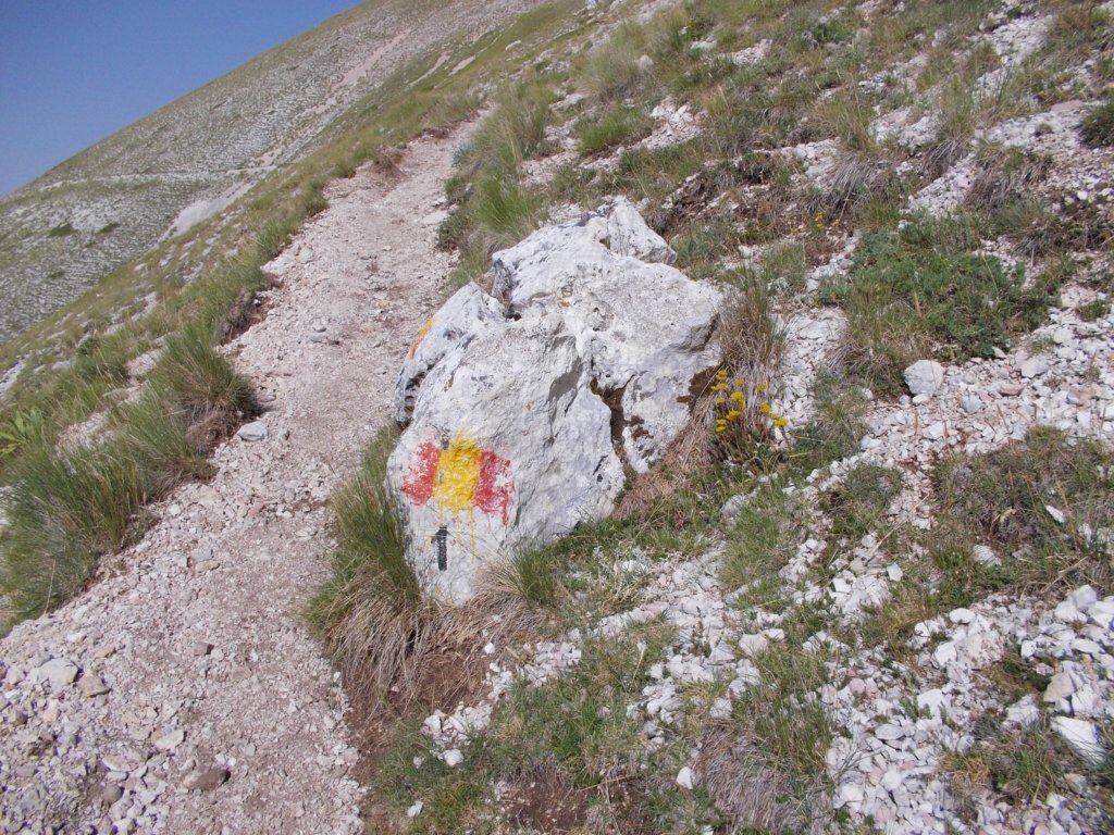 dscn1755.jpg