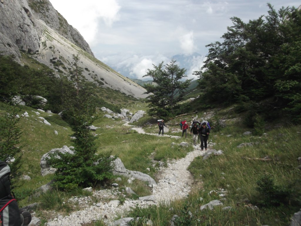 dscf0745.jpg