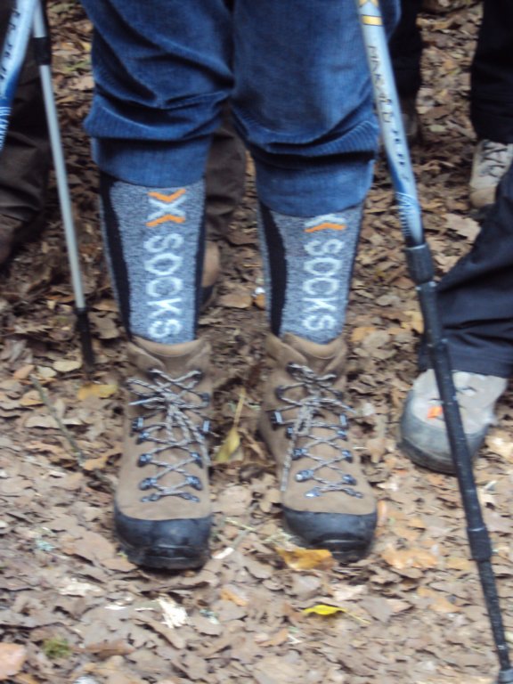 dsc03732.jpg