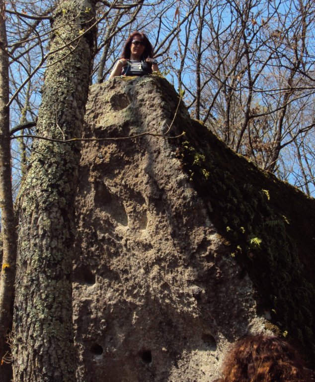 dsc03764.jpg