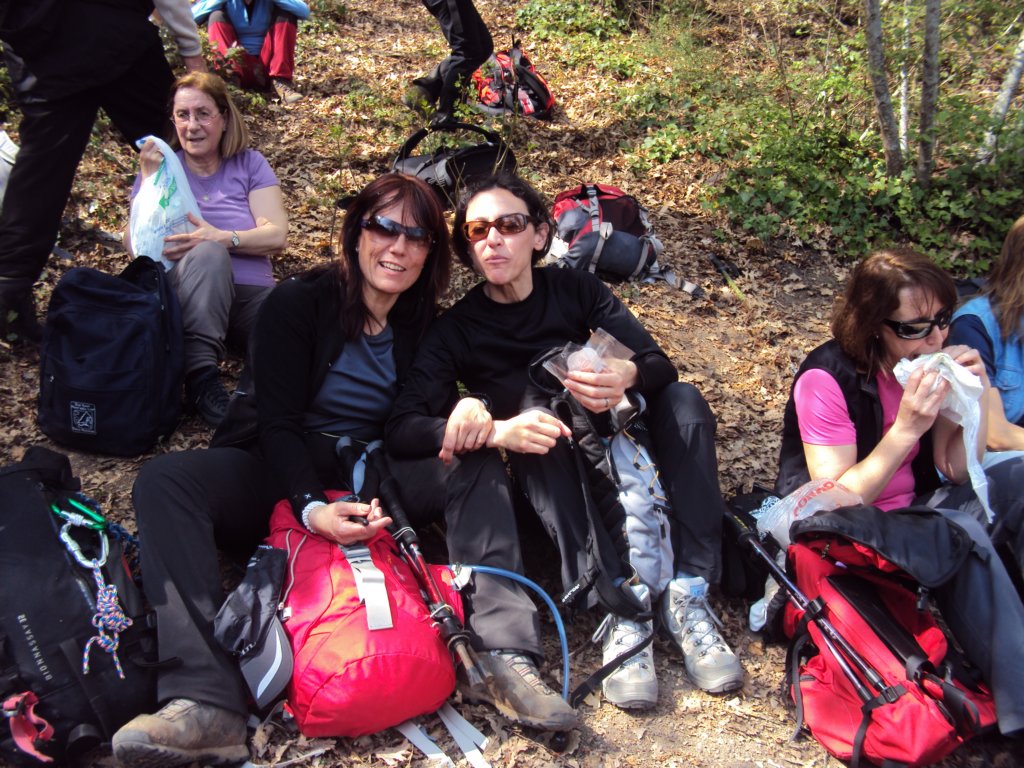 dsc03778.jpg