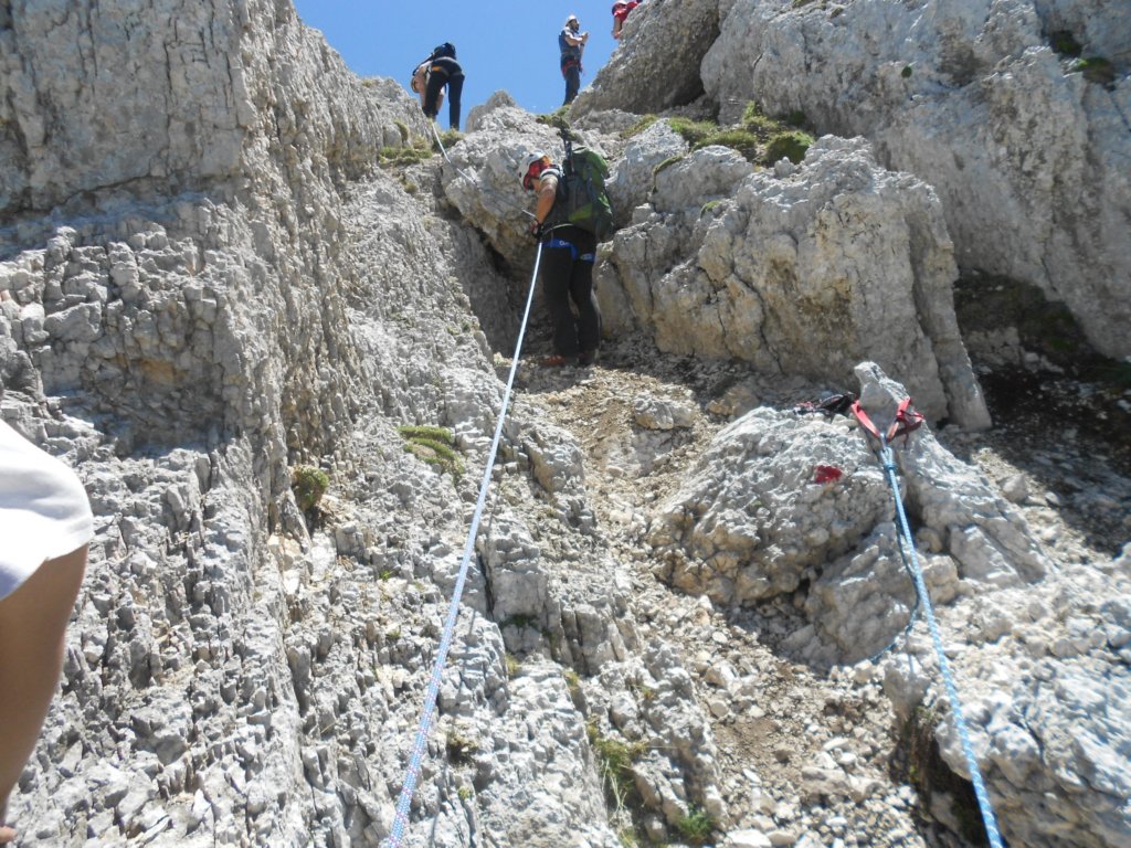 dscn0970.jpg