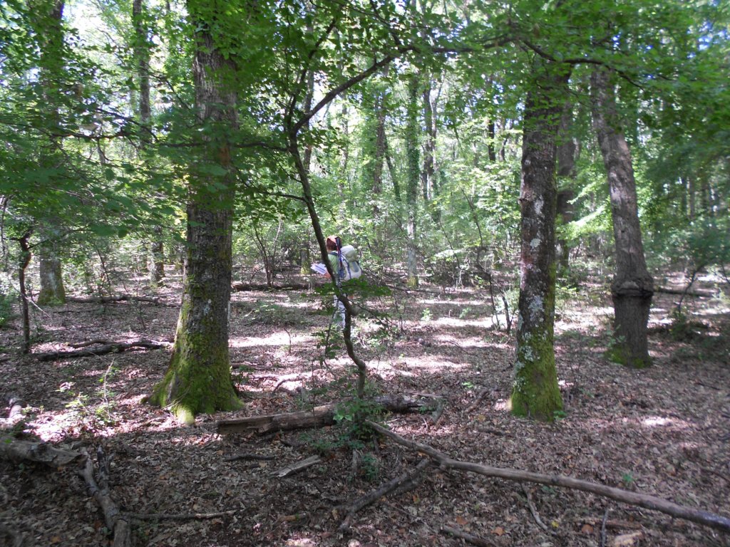 dscn1031.jpg