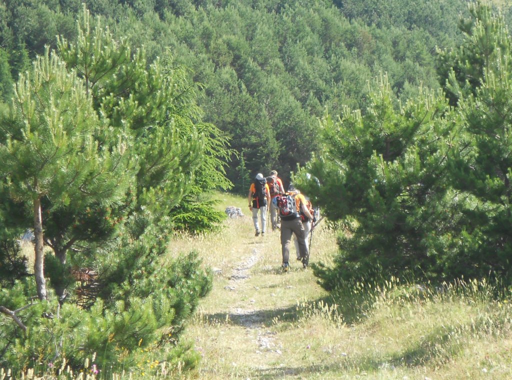 dscn0940.jpg